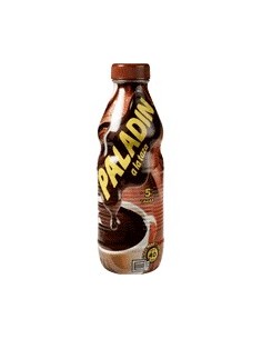 Chocolate a la taza Paladín
